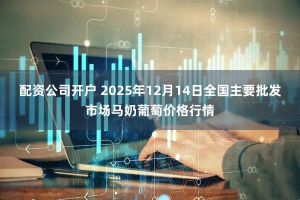 配资公司开户 2025年12月14日全国主要批发市场马奶葡萄价格行情