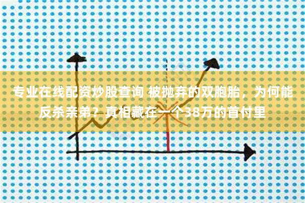 专业在线配资炒股查询 被抛弃的双胞胎，为何能反杀亲弟？真相藏在一个38万的首付里