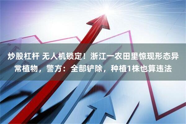炒股杠杆 无人机锁定！浙江一农田里惊现形态异常植物，警方：全部铲除，种植1株也算违法
